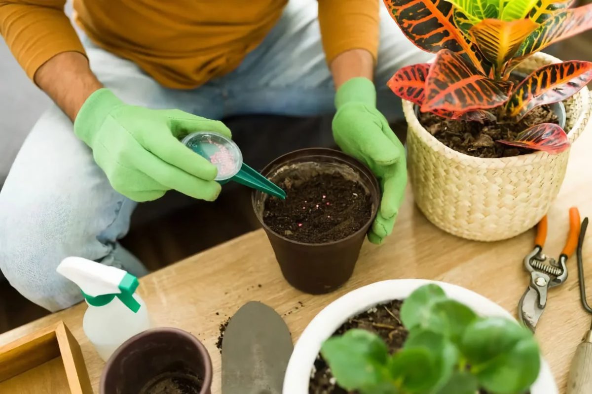 سوالات متداول در مورد کود دادن گل و گیاه