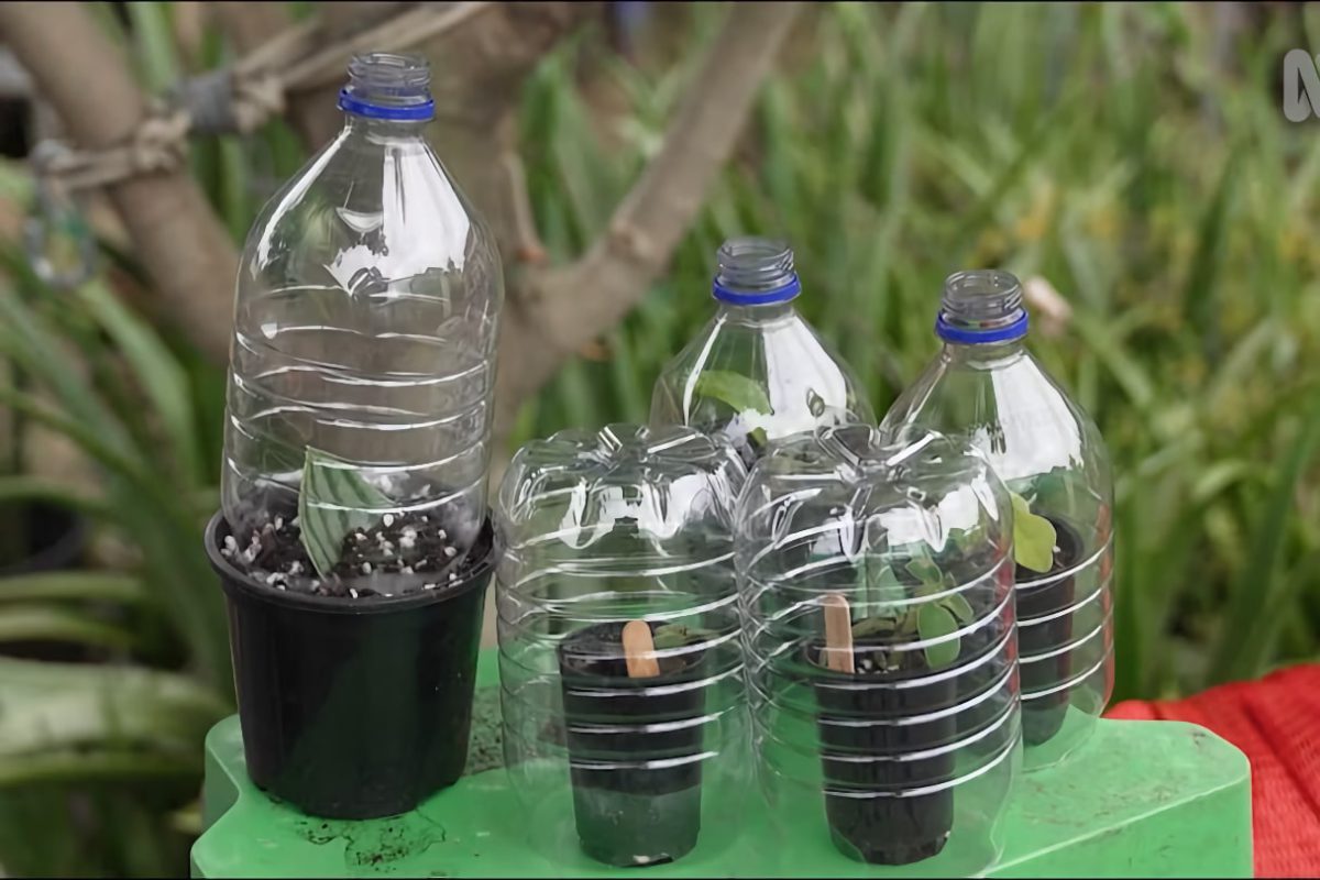 ابدهی با گلخانه پلاستیکی در هنگام مسافرت