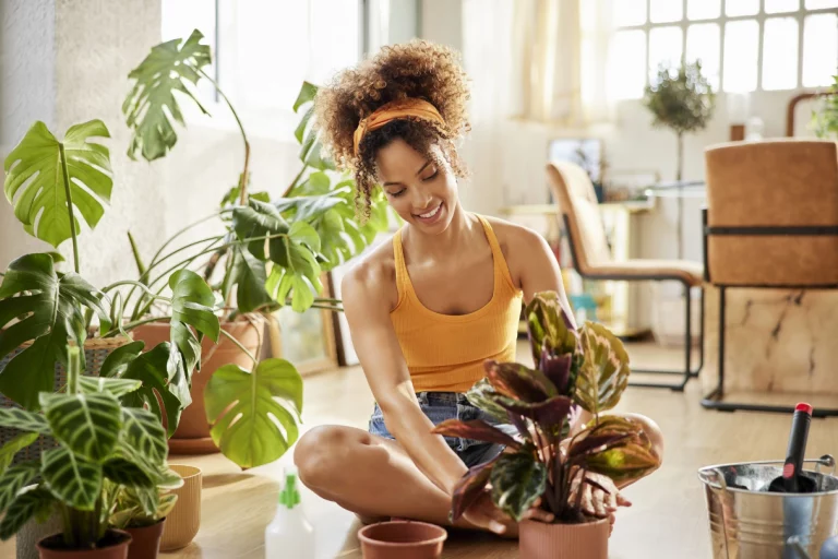 گیاه آپارتمانی برای مکان های کوچک
